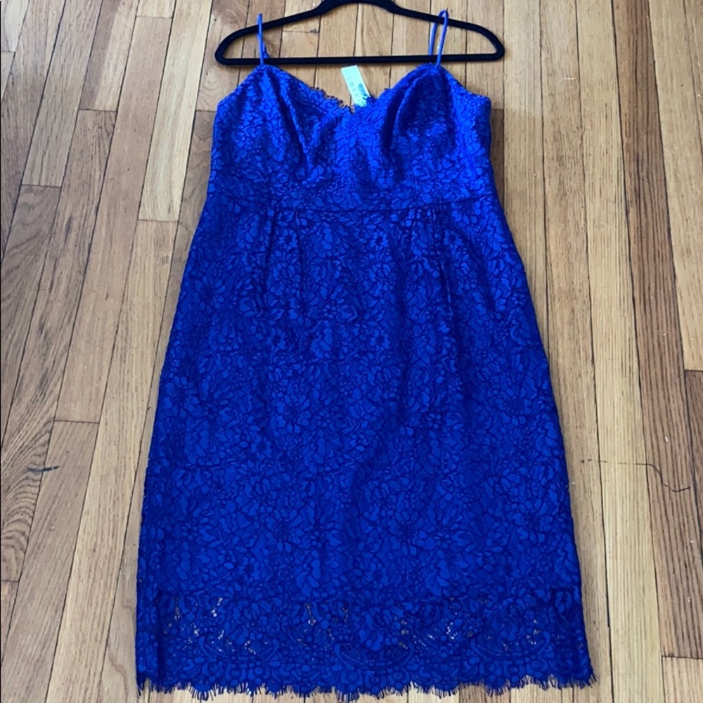 J. Crew Royal Blue Lace Midi Dress
